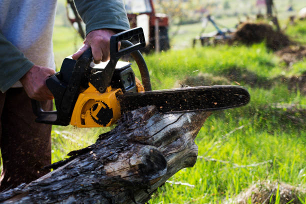 Mulching Services in Sweet Springs, MO